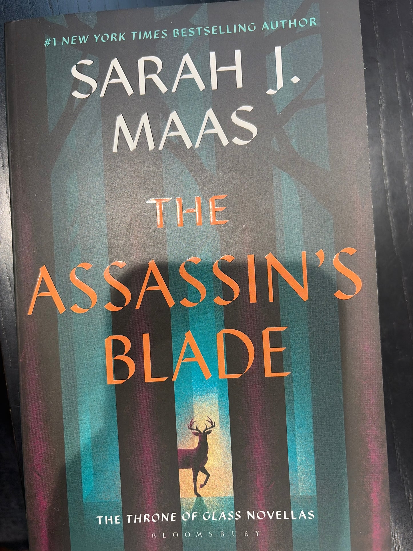 The Assassin's Blade: The Throne of Glass Novellas