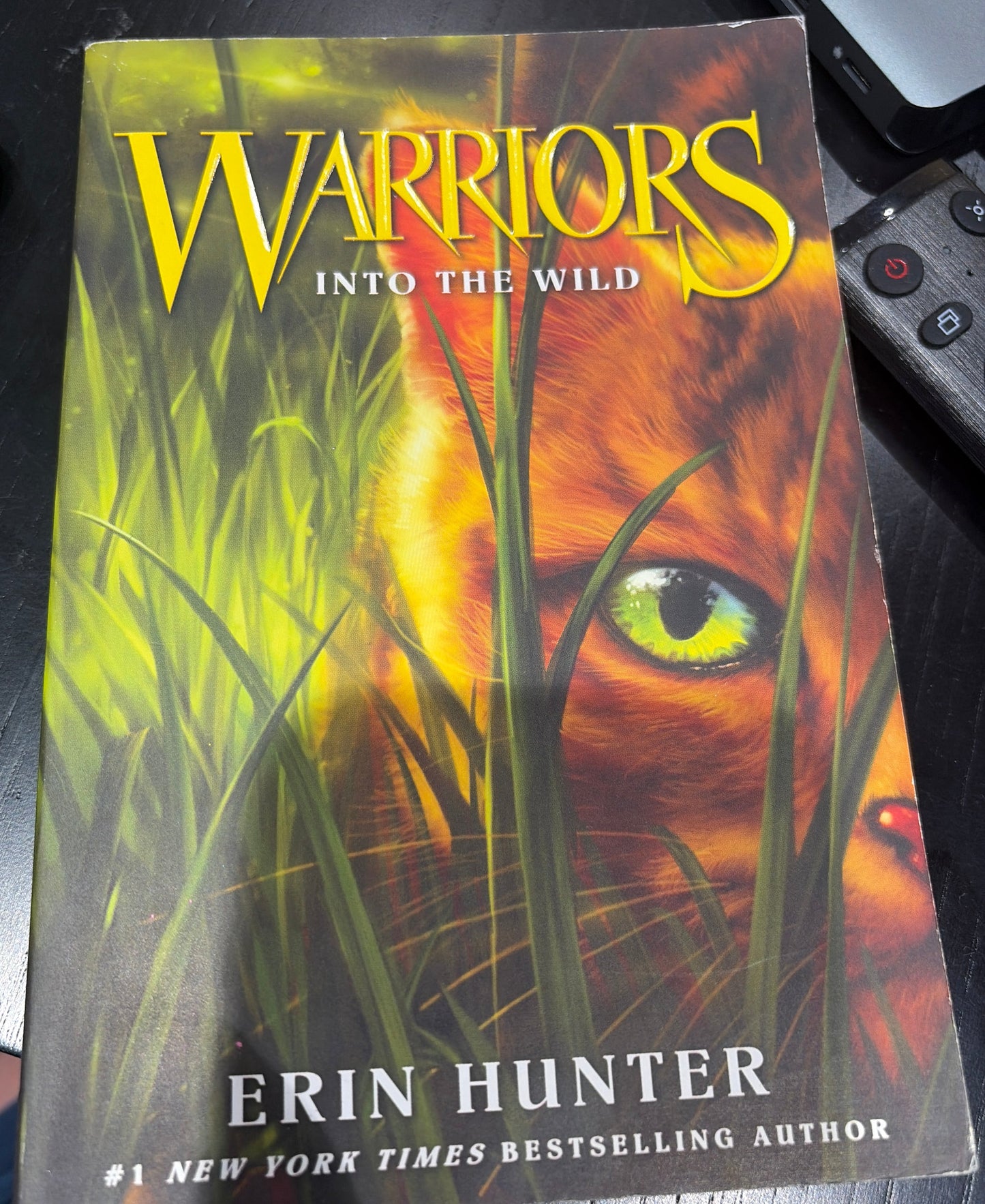 Warriors: Into the Wild by Erin Hunter (Paperback)