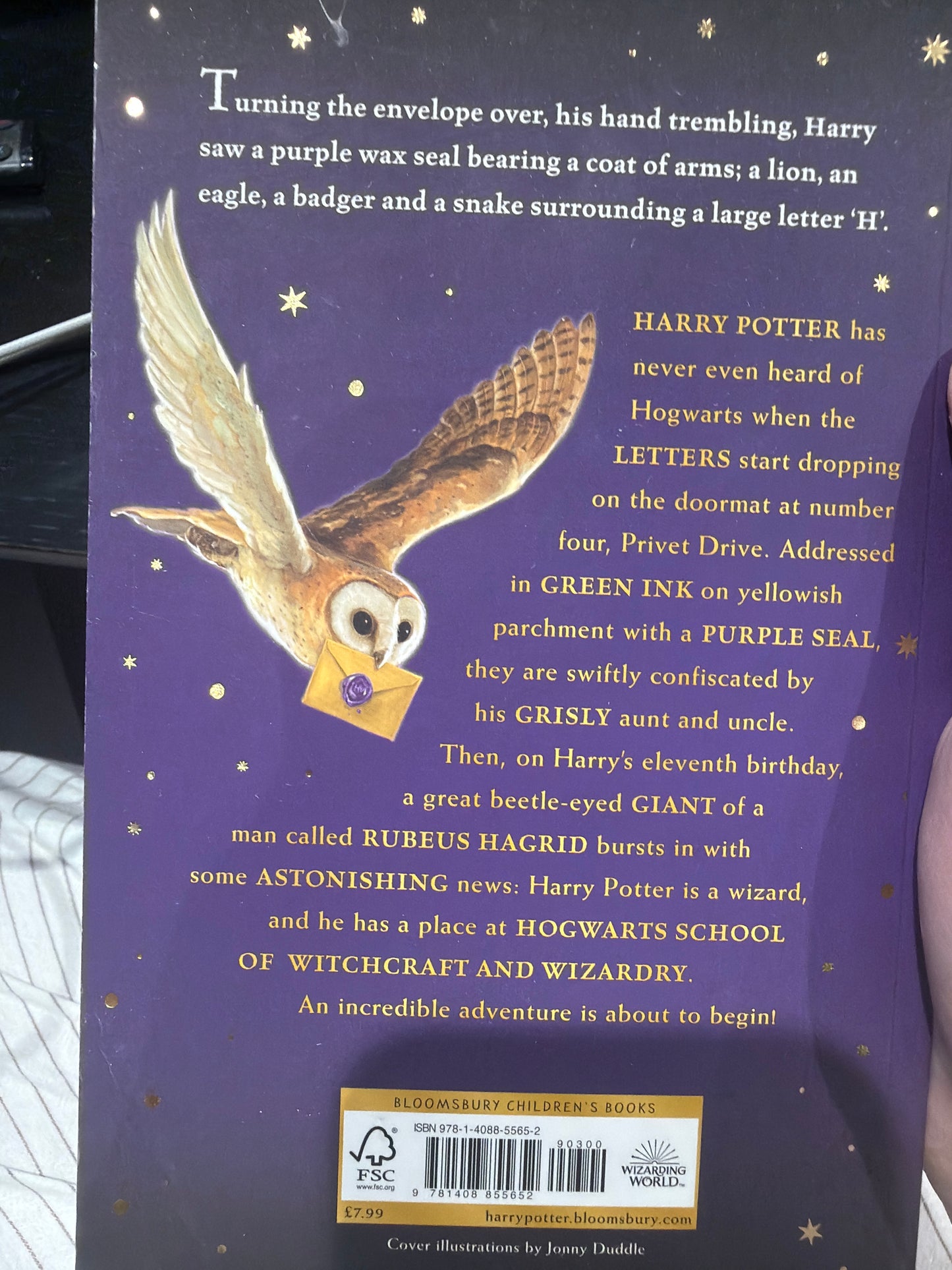 Harry Potter and the Philosopher's Stone by J.K. Rowling (Bloomsbury Children's Books, Paperback)